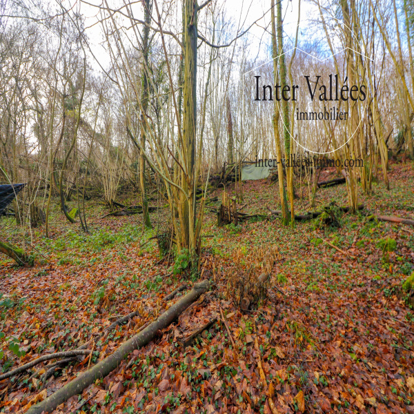 Offres de vente Terrain Nesles-la-Vallée 95690